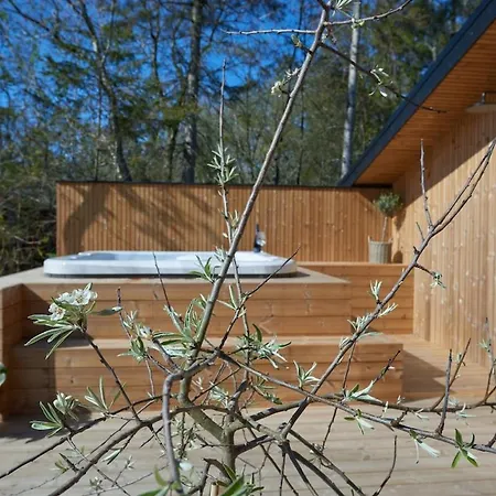 Newly Built Luxury House With & Shelter Near
