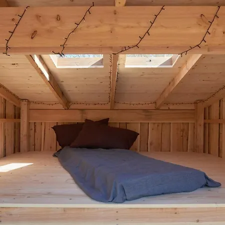 Newly Built Luxury House With & Shelter Near 度假居